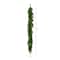 6ft. Artificial Real Touch Norfolk Island Pine Garland with Natural Look